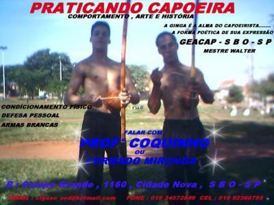 Portal Capoeira ESTILO ACROBÁTICO DE CAPOEIRA 
