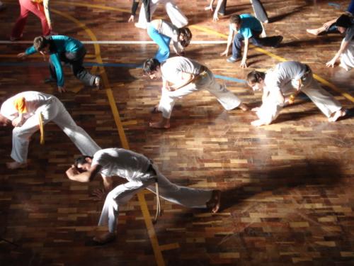 Portal Capoeira Artes das Gerais - FICAG/SC - Projeto de Reação Comunidade Brasil 